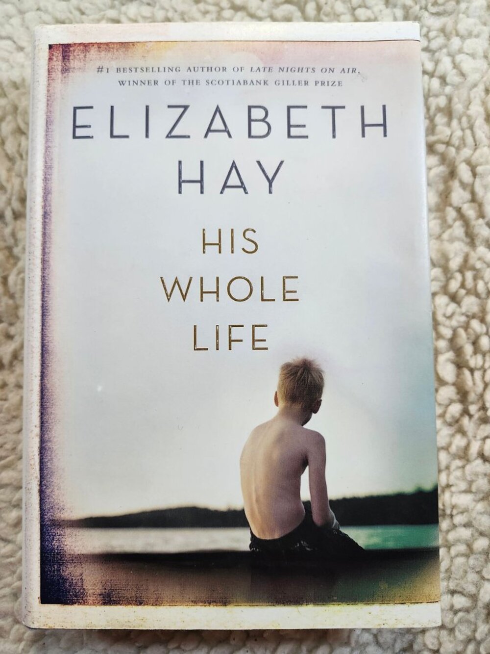 Elizabeth Hay His Whole Life Hardcover 2015 Fiction Novel Dust Jacket Penguin